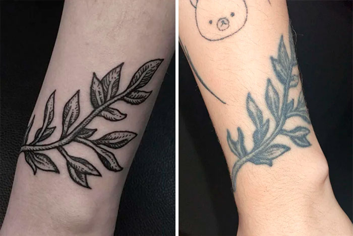 Detailed botanical tattoo in 2018 and 2022, with visibly thicker lines